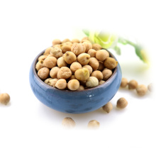 Chinese high quality dried Chickpea/chick peas competitive price/chickpeas kabuli
